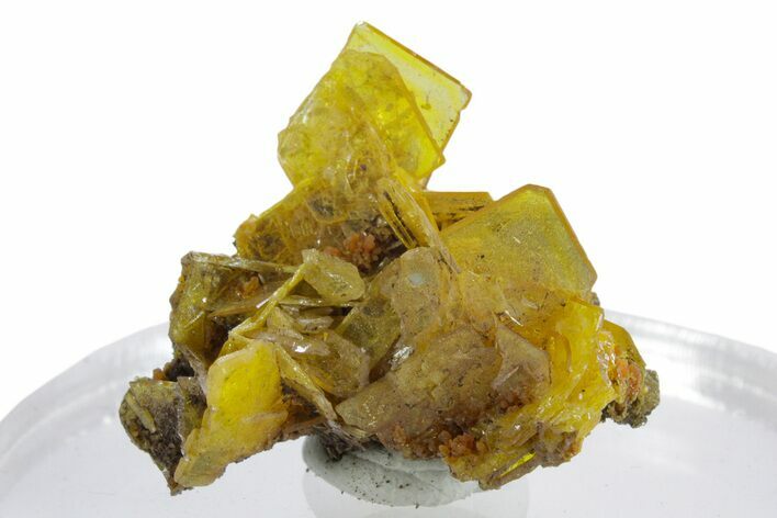 Glassy Yellow-Orange Wulfenite Crystal Cluster - Mexico #347980
